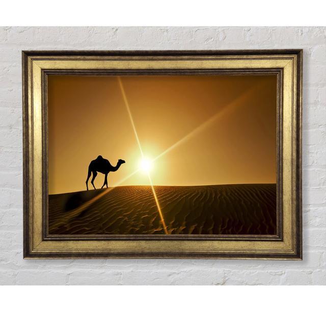 Desert Camel - Single Picture Frame Art Prints Bright Star Size: 100cm H x 141.4cm W x 8cm D on Productcaster.