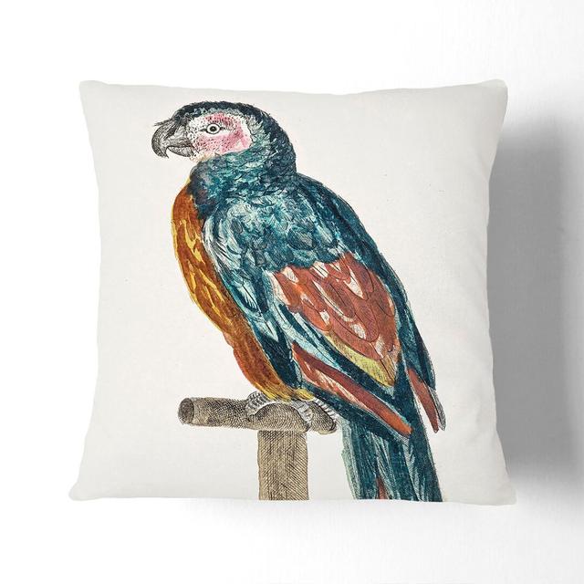 Colourful Parrot by Johan Teyler Cushion with Filling East Urban Home Size: 40cm H x 40cm W x 15cm D on Productcaster.