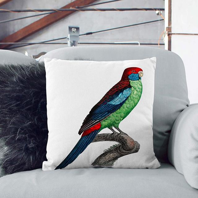 Broad-Tailed Parrot by F. Levaillant Cushion with Filling East Urban Home Size: 55cm H x 55cm W x 20cm D, Backing Colour: Stone on Productcaster.