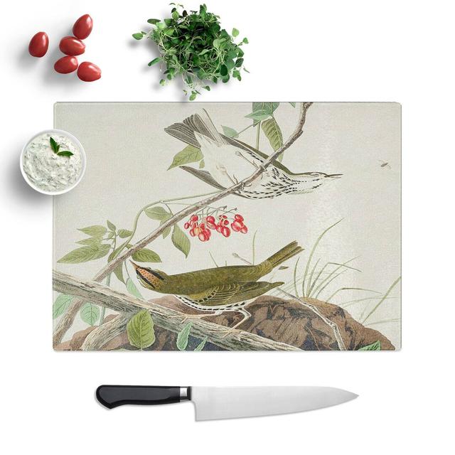 Glass Golden-Crowned Thrush by John James Audubon Chopping Board East Urban Home Size: 39 cm W x 28.5 cm L on Productcaster.