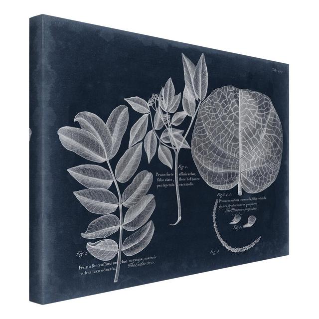 Mangrove Foliage - Wrapped Canvas Graphic Art Rosalind Wheeler Size: 30cm H x 40cm W, Format: Recycled Canvas 330g/m² on Productcaster.