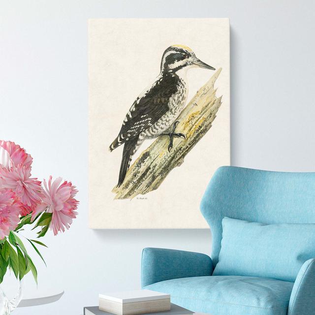 A Three-Toed Woodpecker by Von Wright - Wrapped Canvas Painting Print East Urban Home Size: 76cm H x 50cm W x 3cm D on Productcaster.