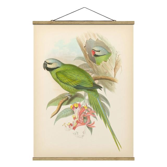 Vintage Illustration Tropical Birds II - Graphic Art Print Bay Isle Home Size: 66.4cm H x 50cm W x 0.3cm D on Productcaster.