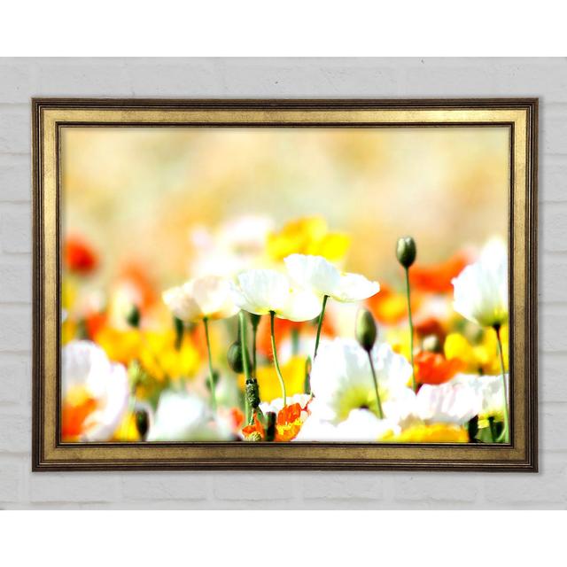 Colourful Summer Flowers - Print Ebern Designs Size: 21cm H x 29.7cm W x 1.5cm D on Productcaster.