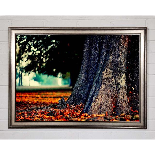 Tree Trunk In Autumn - Single Picture Frame Art Prints Union Rustic Size: 84.1cm H x 118.9cm W x 1.5cm D on Productcaster.