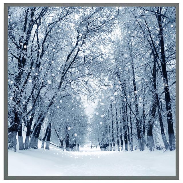 Collyer Snowstorm In Park - Single Picture Frame Art Prints Alpen Home Size: 41cm H x 41cm W x 4cm D, Frame Colour: Grey on Productcaster.