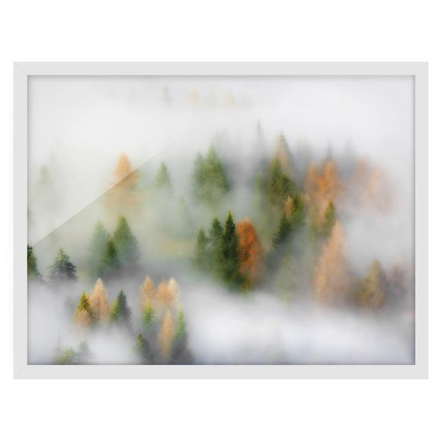 Cloud Forest in Autumn - Picture Frame Graphic Art Union Rustic Frame Option: White Framed, Size: 70cm H x 100cm W x 2cm D on Productcaster.