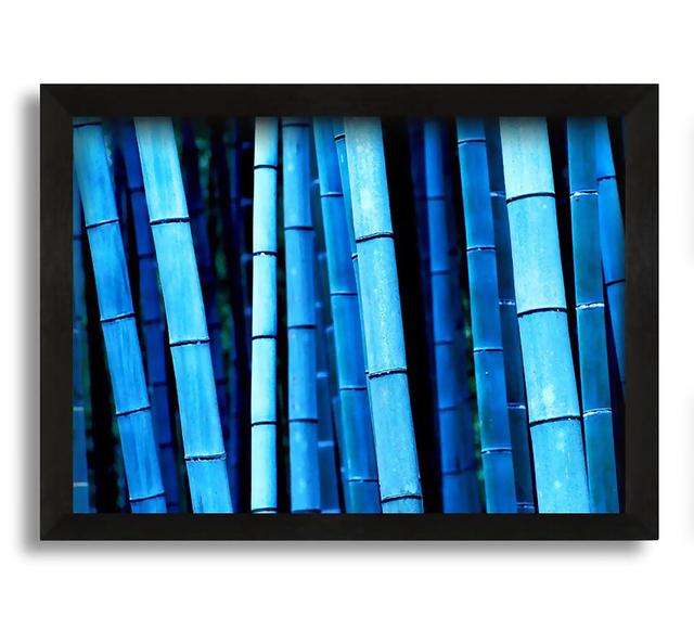 Bamboo Blues - Picture Frame Photograph on Canvas Ebern Designs Size: 42cm H x 60cm W x 10cm D on Productcaster.