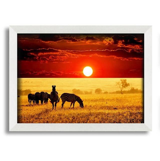 Leyhill Zebras in the African Sun - Single Picture Frame Graphic Art Gracie Oaks Size: 59.7cm H x 84.1cm W x 10cm D on Productcaster.