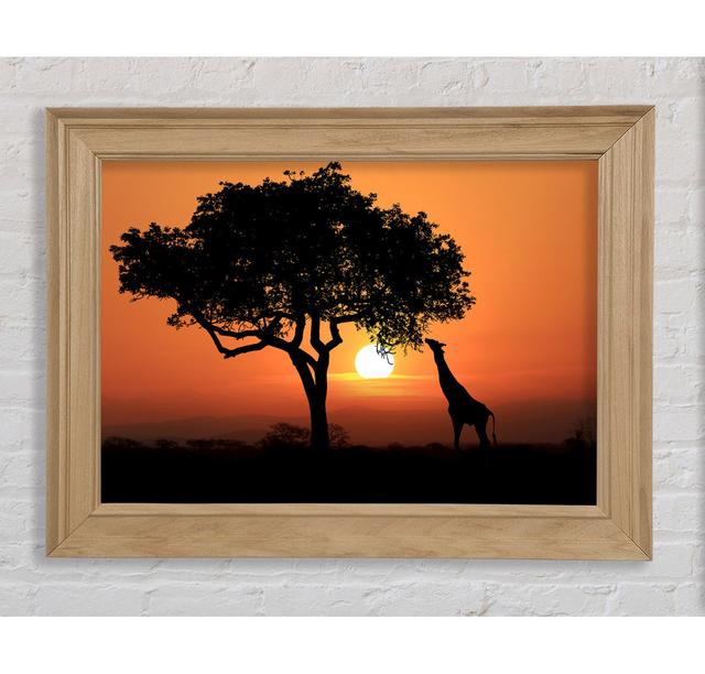 Giraffe Safari Sunset - Print Bright Star Size: 21cm H x 42cm W x 8cm D on Productcaster.