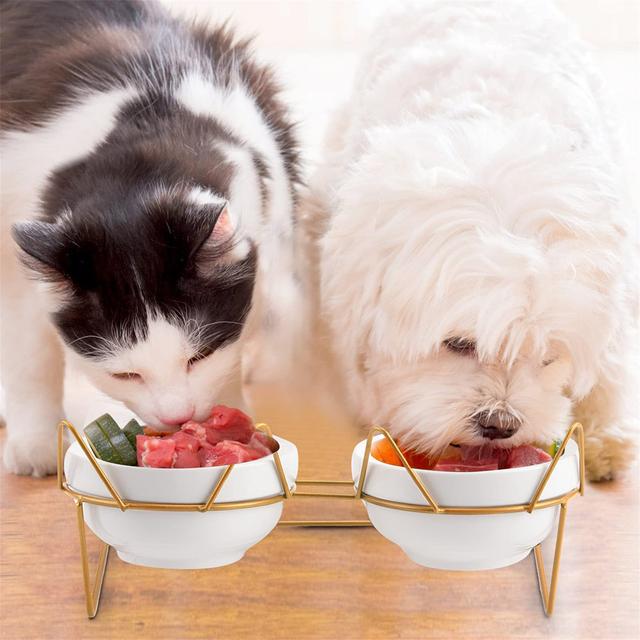 Cat Bowls, Double Ceramic Pet Bowls With 15°Tilted Raised Cat Bowls Stand Anti Vomiting Cat Dish Bowls For Food And Water, Perfect For Puppy Cats And on Productcaster.