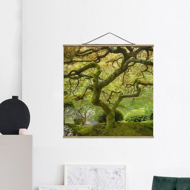 Green Japanese Garden - Photograph Print Union Rustic Size: 100cm H x 100cm W x 0.3cm D on Productcaster.