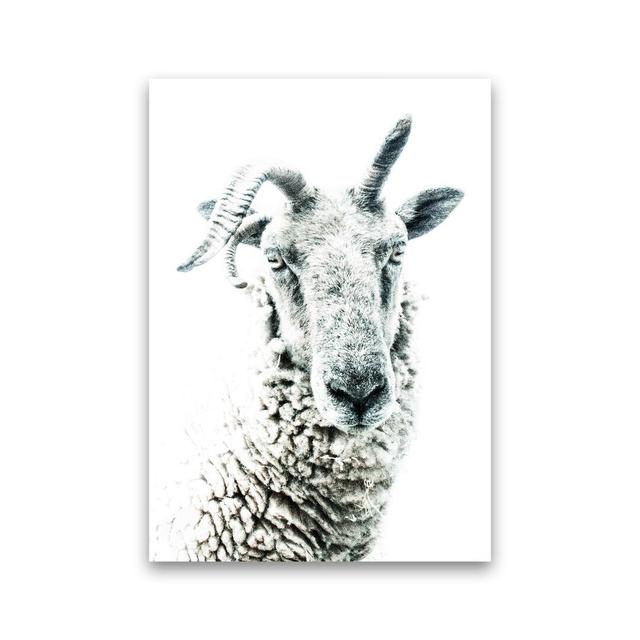 Sheep by Victoria Frost - Print Union Rustic Format: Unframed, Size: 42cm H x 30cm W x 1cm D on Productcaster.