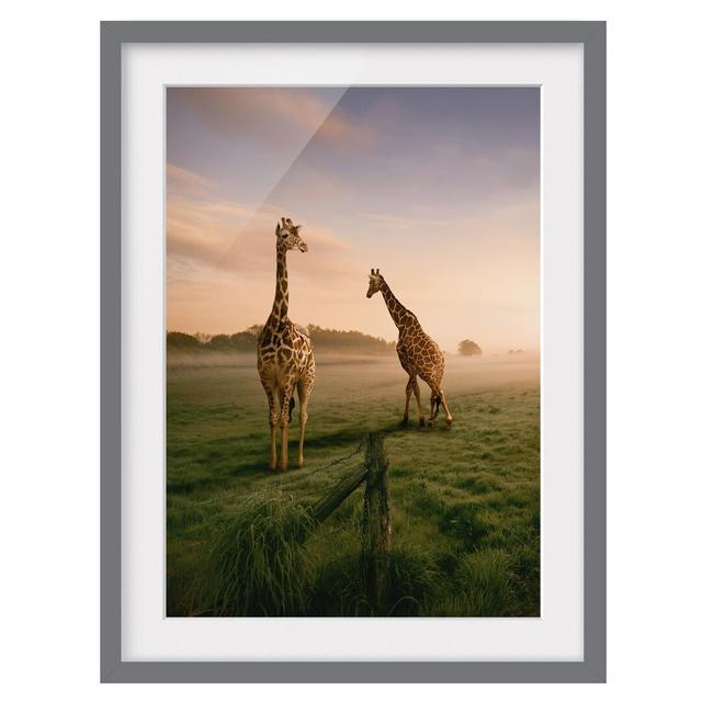 Surreal Giraffes - Picture Frame Graphic Art Print on Paper East Urban Home Rahmenoptionen: Matt grey, Size: 55 cm H x 40 cm W on Productcaster.