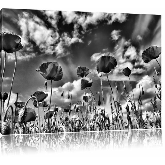 Leinwandbild Wundervolle Wiese mit roten Blumen in Monochrom East Urban Home Größe: 80 cm H x 120 cm B on Productcaster.