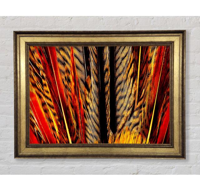 Blazing Feathers - Single Picture Frame Art Prints Bright Star Size: 21cm H x 42cm W x 8cm D on Productcaster.