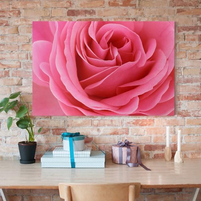 Leinwandbild Lustful Pink Rose East Urban Home Größe: 60 L x 40 B on Productcaster.