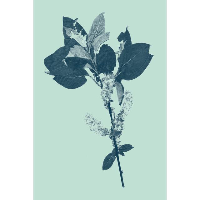 Indigo & Mint Botanical Study V by Vision Studio - Wrapped Canvas Print August Grove Size: 46cm H x 30cm W on Productcaster.