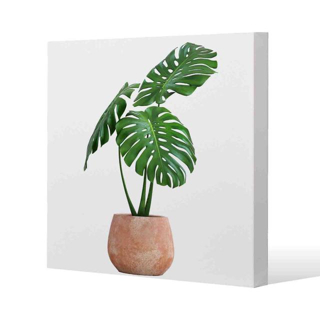 Monstera by Andrew Lee - Wrapped Canvas Print 17 Stories Size: 101cm H x 101cm W x 4cm D on Productcaster.