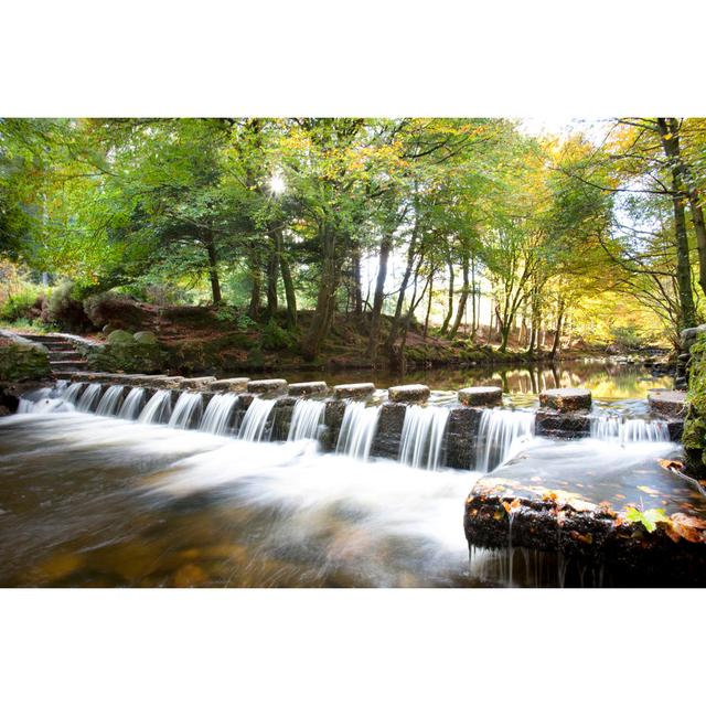 Stepping Stones by Robertmayne - Wrapped Canvas Print Union Rustic Size: 20cm H x 30cm W x 3.8cm D on Productcaster.