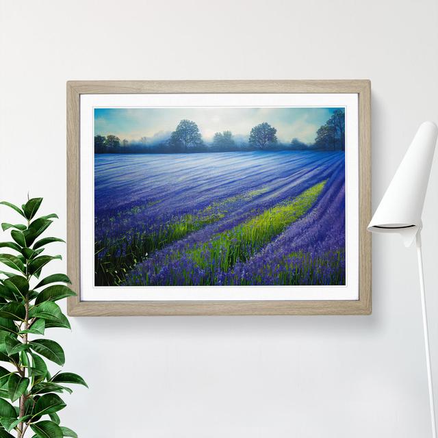 Magnetic Bluebell Field - Single Picture Frame Painting ClassicLiving Size: 25cm H x 34cm W x 2cm D, Frame Colour: Oak on Productcaster.