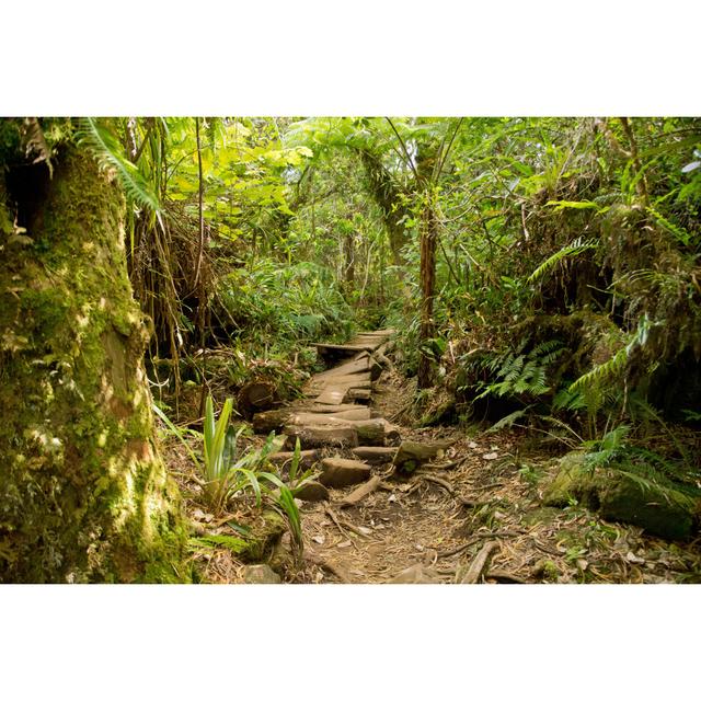 Delucia Trails In Reunion - Wrapped Canvas Photograph Alpen Home Size: 51cm H x 76cm W x 3.8cm D on Productcaster.