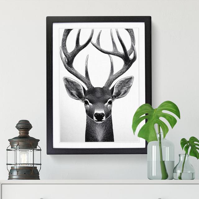 Face Of A Deer - Print Alpen Home Size: 46cm H x 34cm W x 2cm D, Frame Option: Walnut on Productcaster.