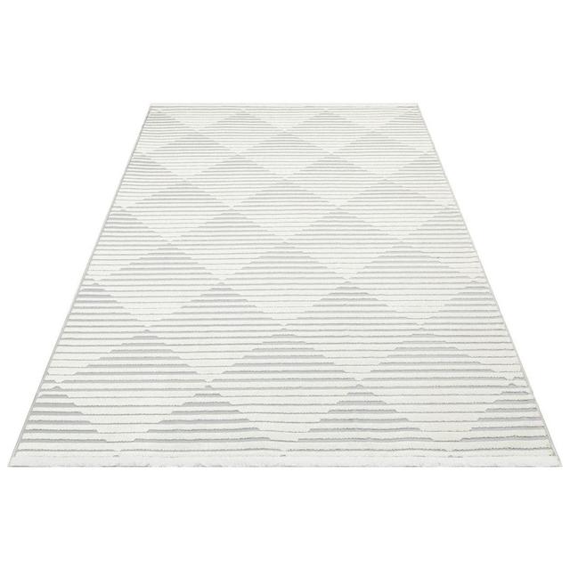 Truckee Geometric Machine Woven Silver Area Rug Corrigan Studio Rug Size: Rectangle 190 x 290cm on Productcaster.