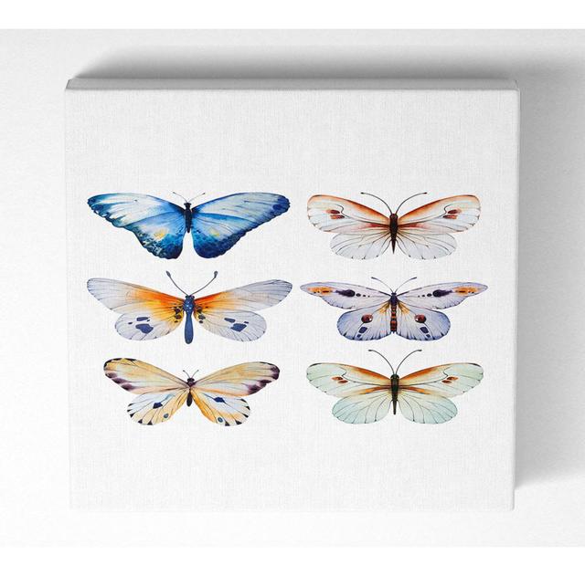 Butterfly Breeds - Wrapped Canvas Art Prints ClassicLiving Size: 81.3cm H x 81.3cm W x 10cm D on Productcaster.