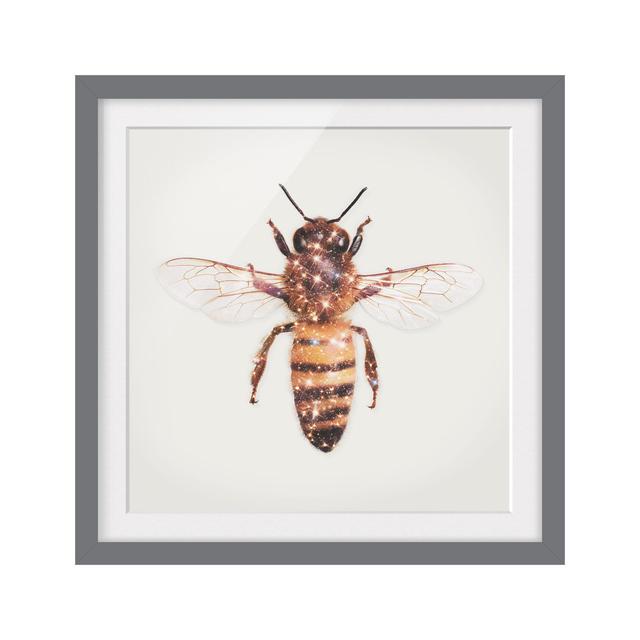 Bee with Glitter by Jonas Loose - Picture Frame Graphic Art Brambly Cottage Frame Option: Grey Framed, Size: 50cm H x 50cm W x 2cm D on Productcaster.