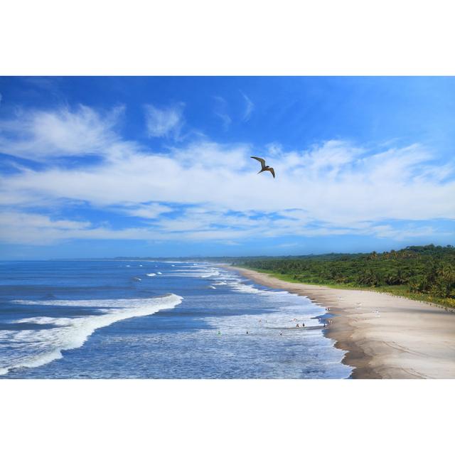 Montelimar Beach by Dmitrynautilus - Wrapped Canvas Photograph House of Hampton Size: 30cm H x 46cm W x 3.8cm D on Productcaster.