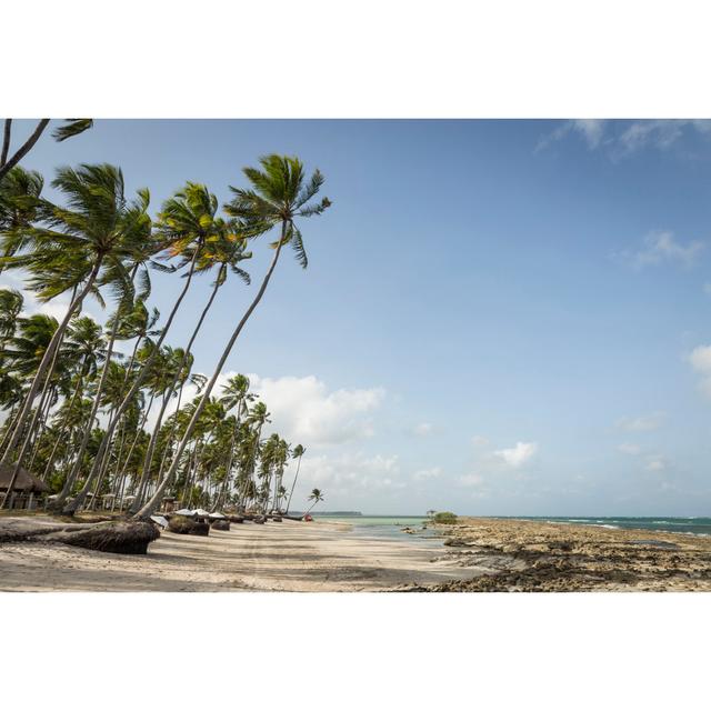 Palm Trees by Albertochagas - Wrapped Canvas Photograph Bay Isle Home Size: 61cm H x 91cm W on Productcaster.