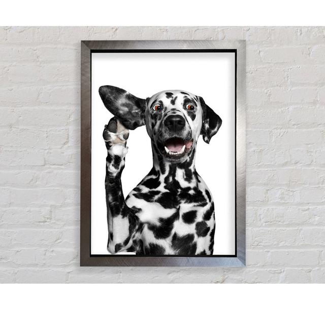 Dalmation Dog High Five - Print Bright Star Size: 59.7cm H x 42cm W x 3.4cm D on Productcaster.