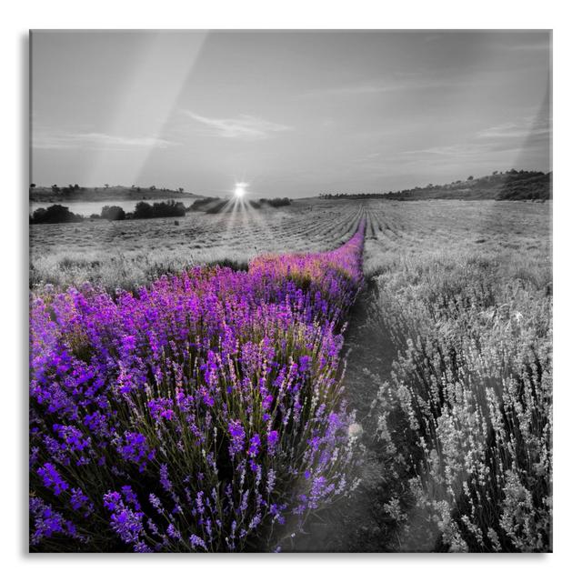 Lavender Field in France - Unframed Photograph on Glass Brayden Studio Size: 70cm H x 70cm W x 0.4cm D on Productcaster.