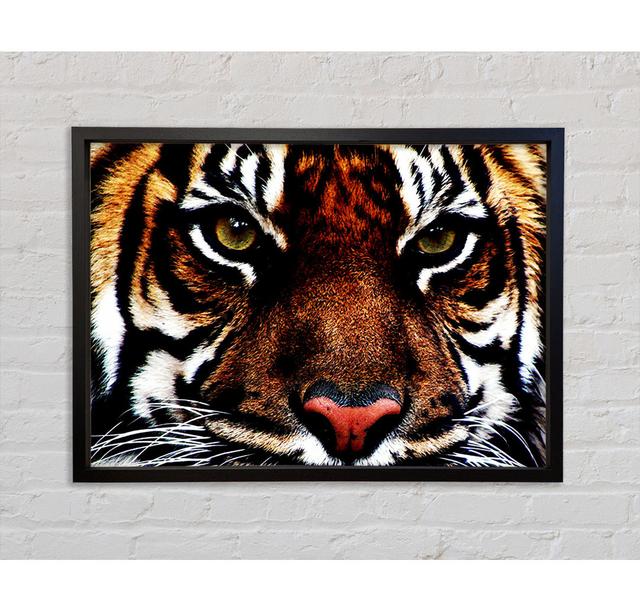 Male Tiger Face - Single Picture Frame Art Prints on Canvas Bright Star Size: 84.1cm H x 118.9cm W x 3.3cm D on Productcaster.