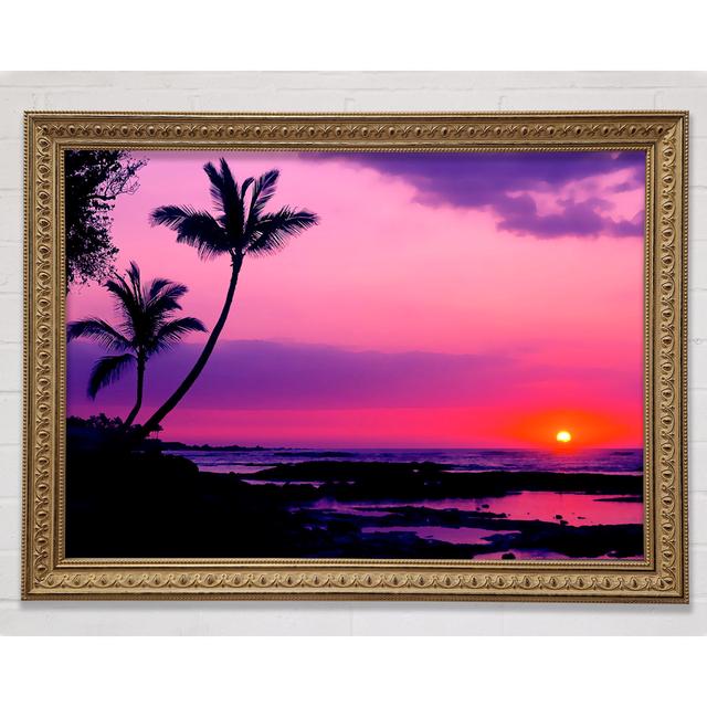 Blaze Of The Palmtree Sun - Single Picture Frame Art Prints Bright Star Size: 21cm H x 29.7cm W on Productcaster.