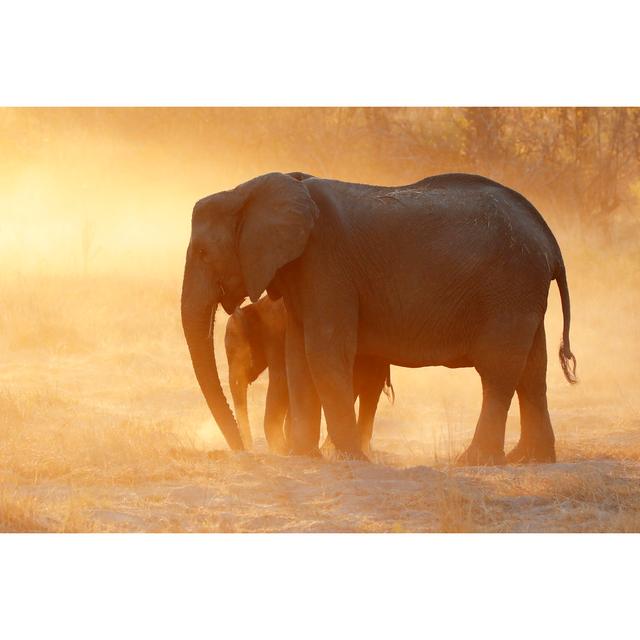 Animals Elephants Family Sunset Sunrise Dust Wildlife Africa Nature Safari Savanna Mother Baby by - Wrapped Canvas Photograph 17 Stories Size: 51cm H on Productcaster.