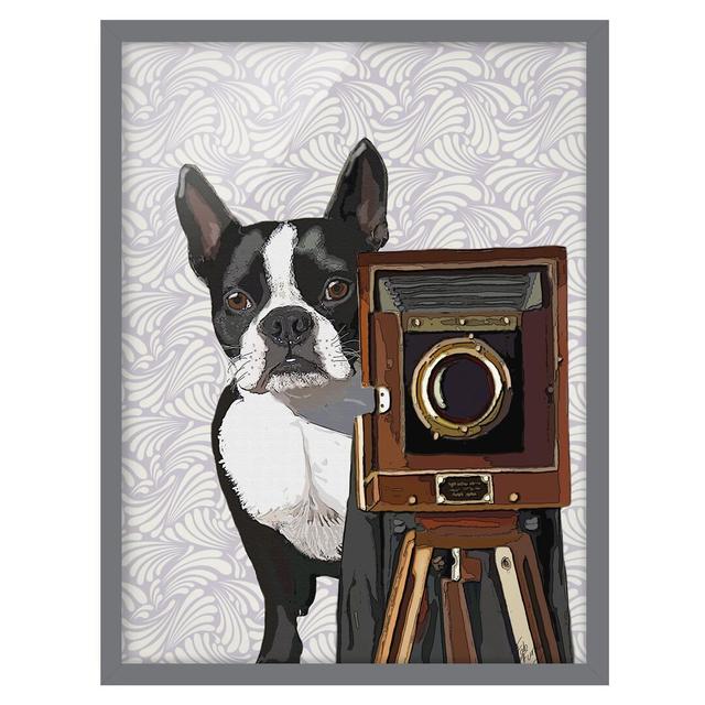 Animal Photographer Terrier - Picture Frame Graphic Art Rosalind Wheeler Size: 40cm H x 30cm W x 2cm D, Frame Option: Grey on Productcaster.