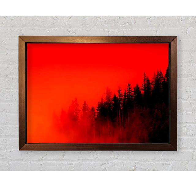 Red Mist Woodland - Print Bright Star Size: 84.1cm H x 118.9cm W x 3.4cm D on Productcaster.