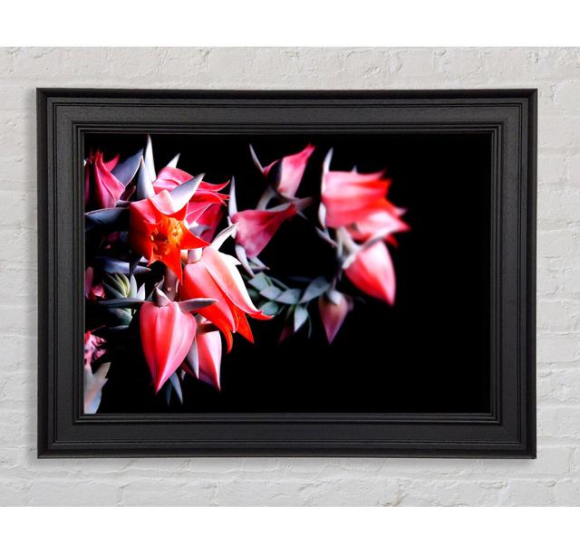 Red Spikes - Single Picture Frame Art Prints Brayden Studio Size: 59.7cm H x 84.1cm W x 8cm D on Productcaster.