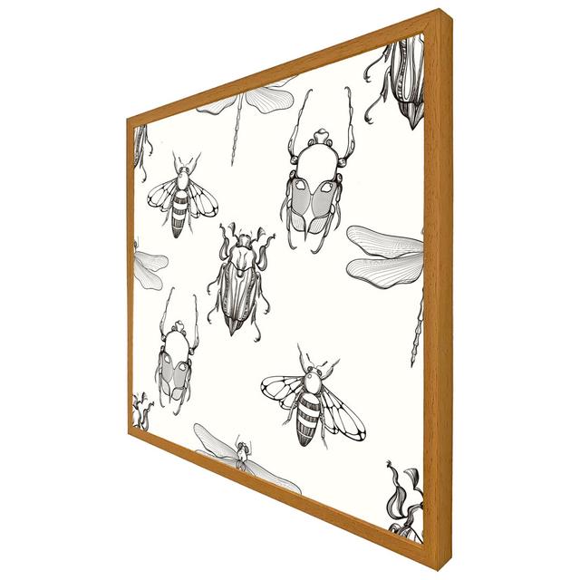 Kaleva Sketch Of Scarab Beetle, May Bug, Bee And Dragonfly - Print Brambly Cottage Format: Grey Framed, Size: 51cm H x 51cm W x 4cm D on Productcaster.