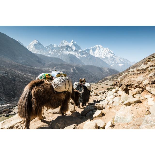 Yaks in the Himalayas - Wrapped Canvas Photograph Gracie Oaks Size: 30cm H x 46cm W on Productcaster.