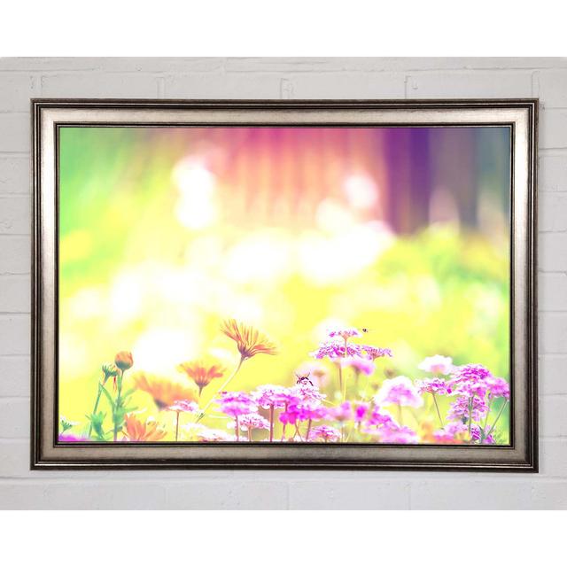 Marigold Lilac Purple Flowers - Single Picture Frame Art Prints Ebern Designs Size: 59.7cm H x 84.1cm W x 1.5cm D on Productcaster.