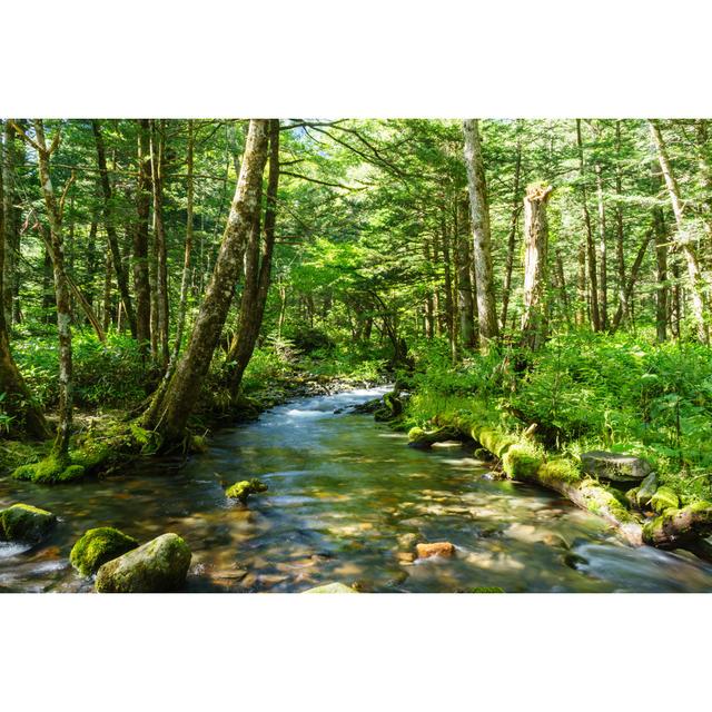 Mountain Stream, Kamikochi by T-Tadanobu - Wrapped Canvas Photograph Alpen Home Size: 81cm H x 122cm W x 3.8cm D on Productcaster.