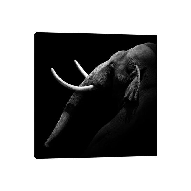 Elephant in Black and White I by Lukas Holas - Wrapped Canvas Graphic Art Latitude Run Size: 66.04cm H x 66.04cm W x 3.81cm D on Productcaster.