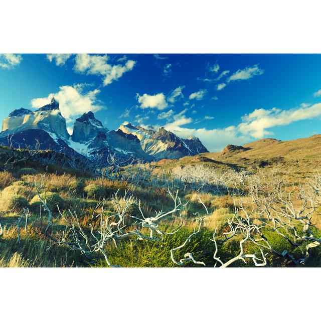 Torres del paine Alpen Home Größe: 60 cm H x 90 cm B on Productcaster.