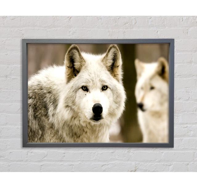 White Wolf - Print Union Rustic Size: 100cm H x 141.4cm W x 3.3cm D, Format: Dark Grey Framed Canvas on Productcaster.