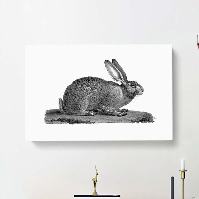 Illustration of a Hare - Wrapped Canvas Drawing Print East Urban Home Size: 50cm H x 76cm W x 3cm D on Productcaster.