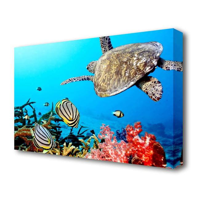 Underwater Turtle and Fish Wildlife - Photograph Print on Canvas East Urban Home Size: 35.6 cm H x 50.8 cm W on Productcaster.