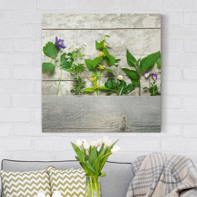 Medicinal and Meadow Herbs - Wrapped Canvas Graphic Art Ebern Designs Format: 260g/m² canvas, Size: 50cm H x 50cm W on Productcaster.